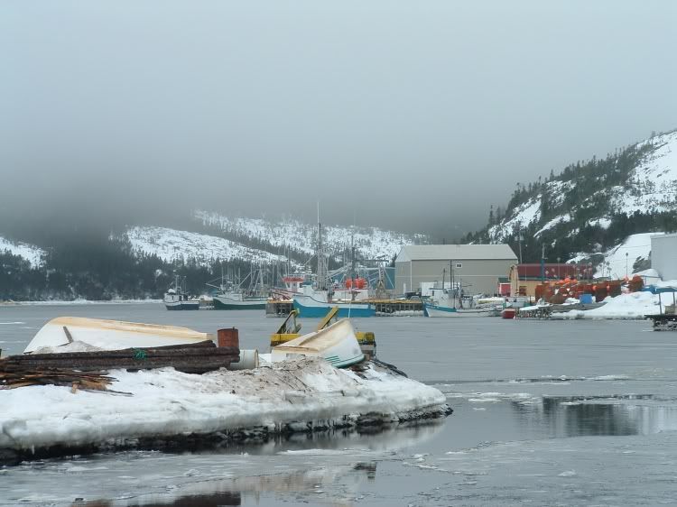 Fleur de Lys, NL SkyscraperPage Forum